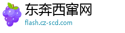东奔西窜网
